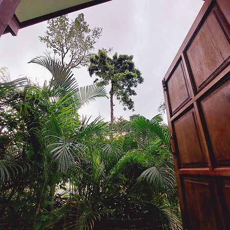 Papaya Cottage Ko Čang Pokoj fotografie